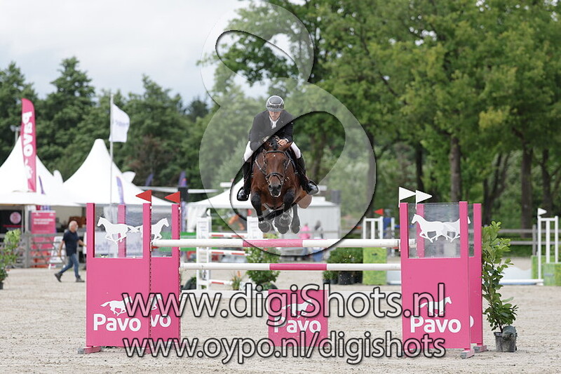 Nicole van de woestenheide