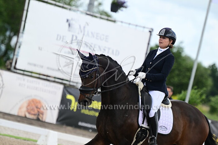 Nathalie van den Dries - Memory of Evidence