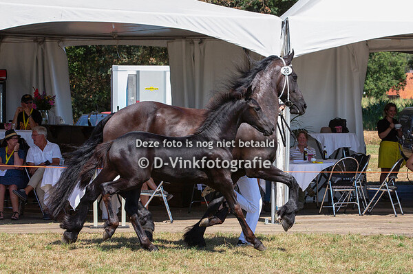 28. Geke van de Oudekleefsebaan