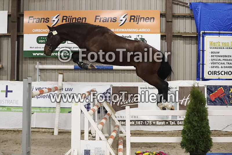 983 - Jandino van de Crumelhaeve