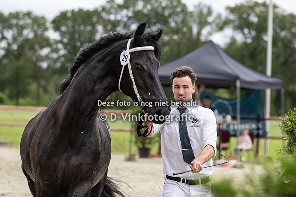 29. Swobke fan it HIem