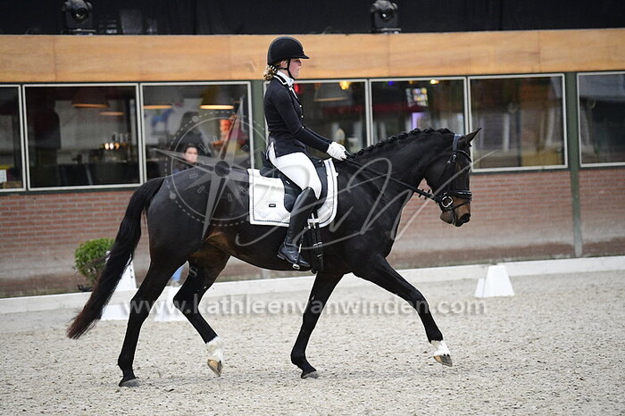 Emma van Buren - Newendy