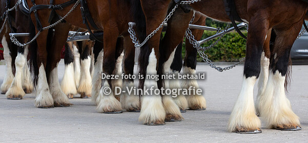 Shire keuring 15-09-2018