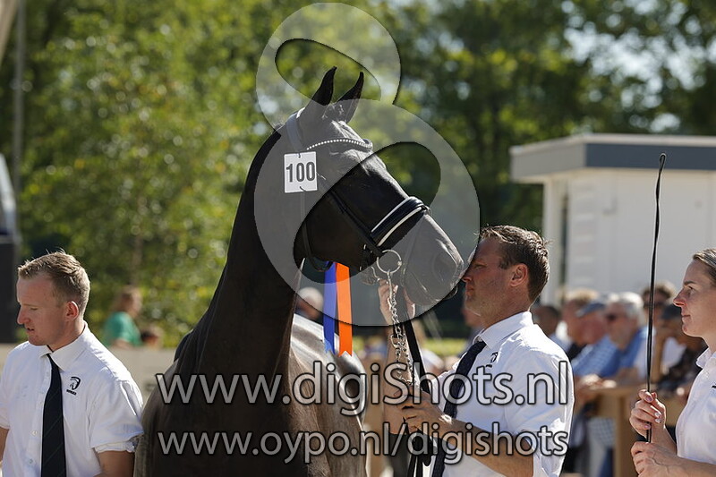 The Perfect Tenn KD v. Extreme US