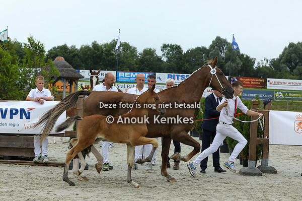 36 - Valiant MVA ( Olympus HS x Manno )