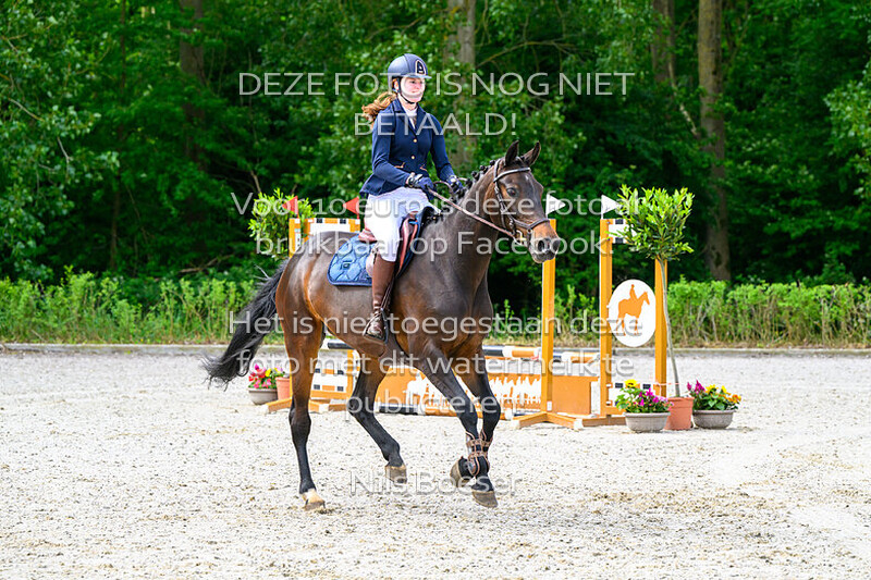 10 Rijstijl paarden 0.70 cm ZB