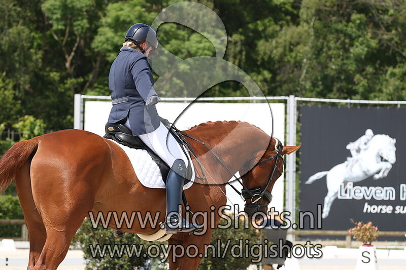 Kouros vh Bloemenhof