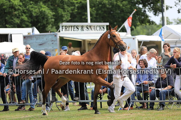 63 Lusinetty v Henkie