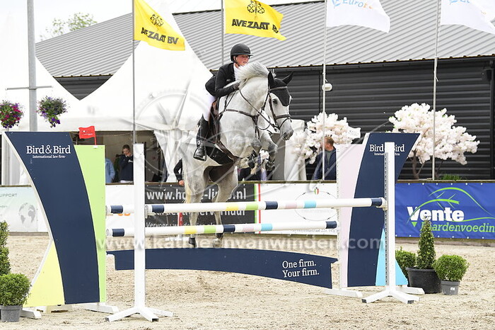 Noelle van der Velde - Larossa