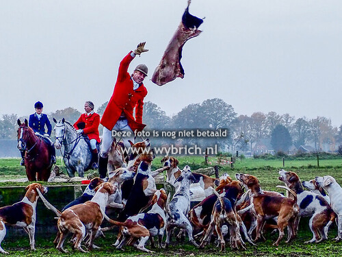 12 IJzerlo 13-11-2024