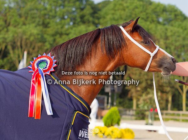 Centrale Keuring 31-08-2024, Houten