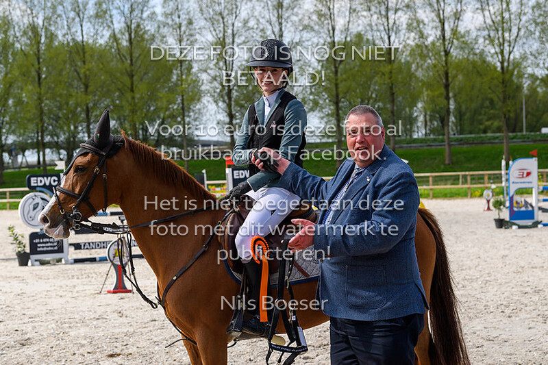 3 ponies klasse 80-90cm