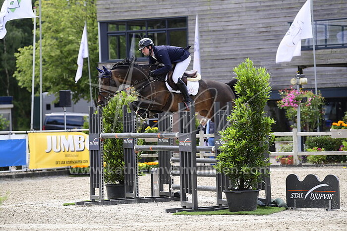 Shane M. Dwan - California