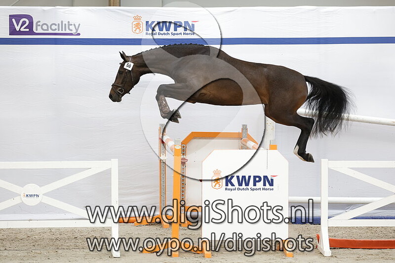 Paulien v. Grand Slam VDL