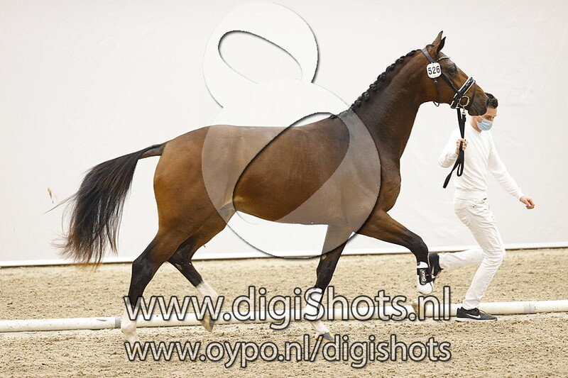 Never Say Never C v. Just Wimphof