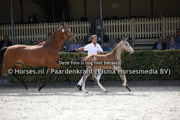 172 O DDL (Kannan jr x Virginia v. Andiamo)