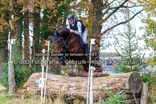 Eventing Rekken 08-11-25