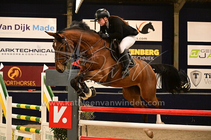 Cynthia Overbeeke - Phareusa BH