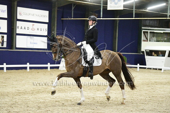 Marlieke Wortelboer - Hailey