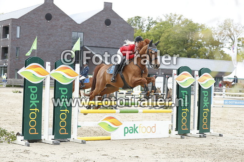 cassedy teeders makowski