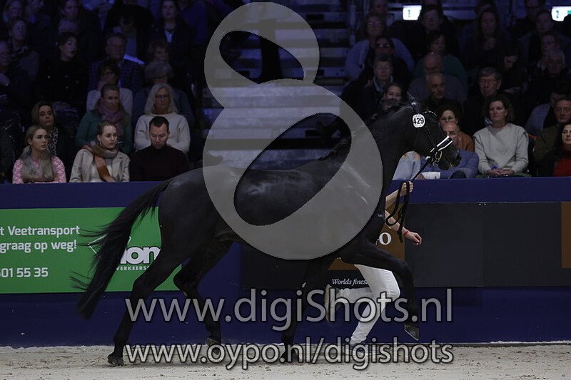 Reijrinkâ€™s Revolution v. Kjento - 429