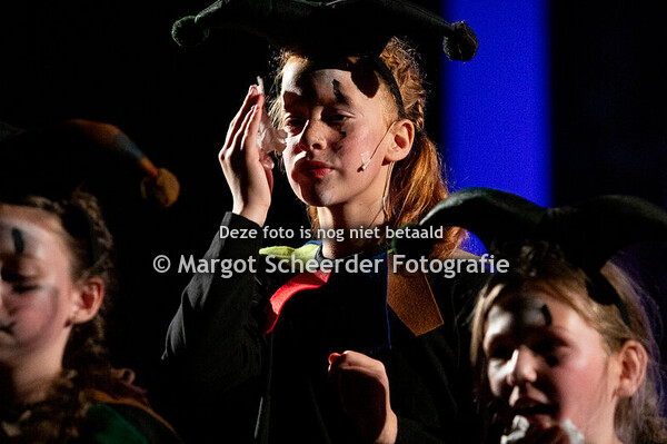 12. De Narren – Het Lied van de Narren