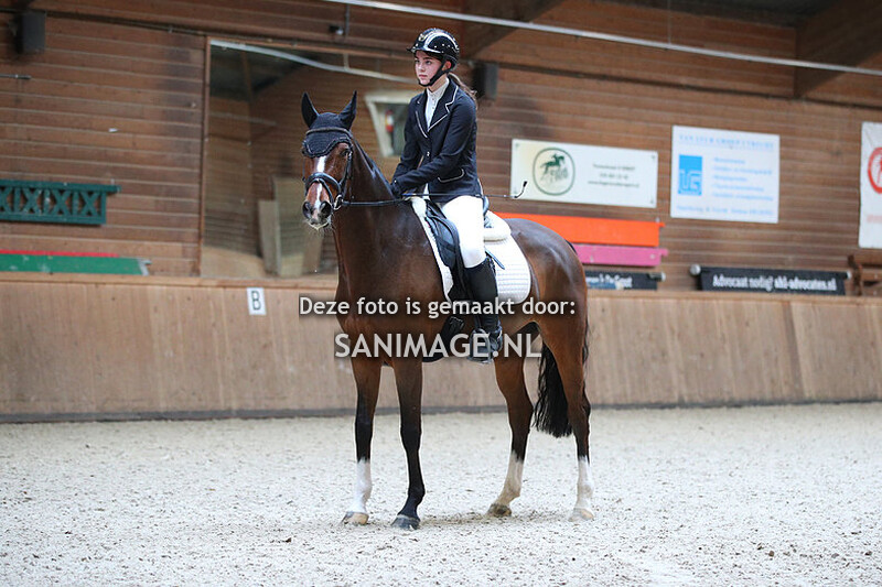 PV Midland Dressuur 18-02-2023 Ochtend