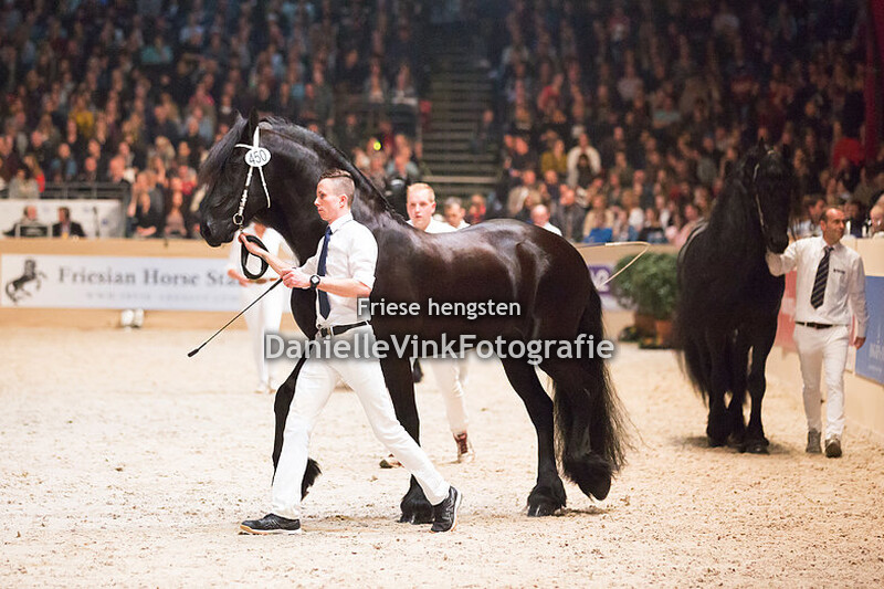 Hengstenkeuring 2018 Sipke 450