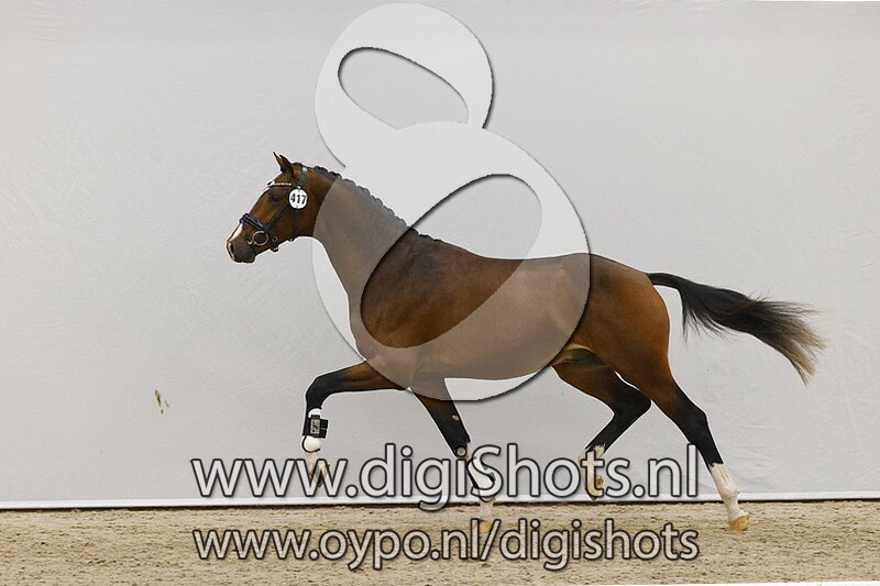 Nakshatra v. Franklin