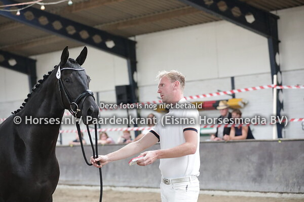 3 Mydora (Bordeaux x Zandora v. Jazz)