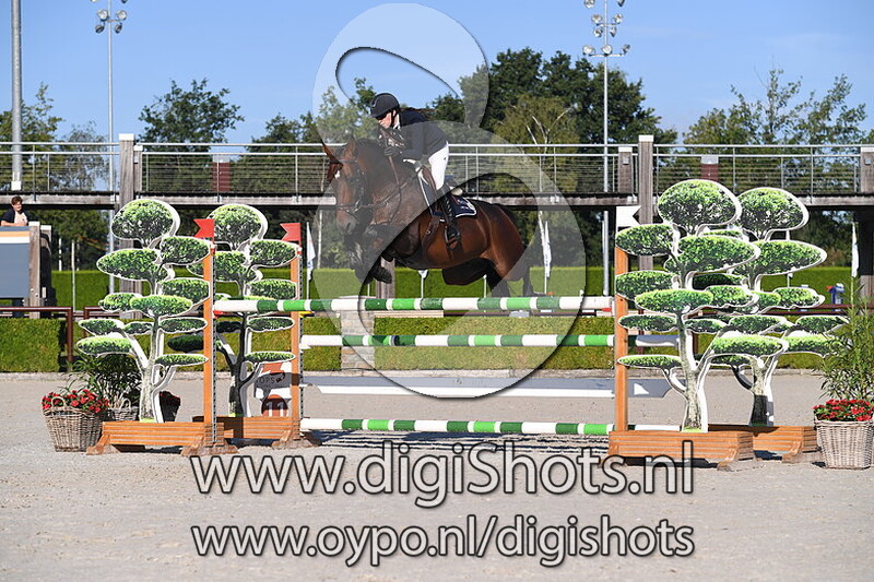 T kwitoulon v_d laarseheide