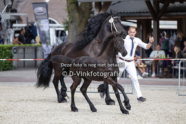 35. DamefanMoai fan Over den Graaf