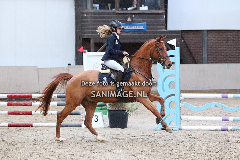 Zilfia's Hoeve Springen Pony's 10-12-2023 80 cm (DE-pony's)