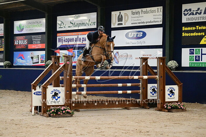 Tom Schellekens - Oreon AC