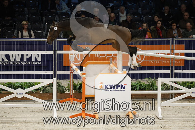 Ragnar v. Alicante Hbc - 006