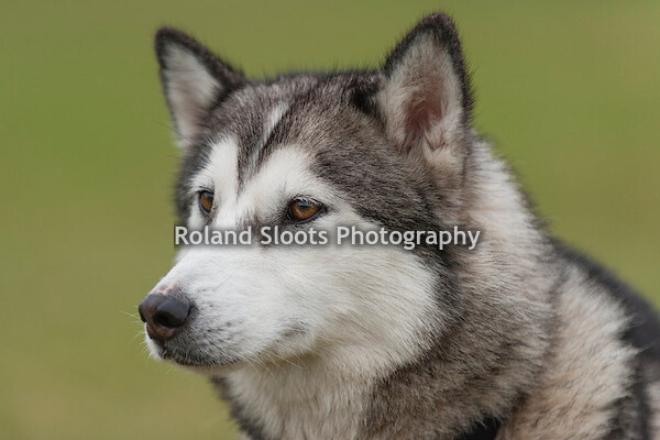 06_Overigen ( vrij-zat-zon )