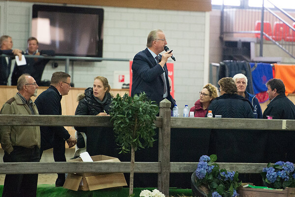 Veiling en youngstockshow