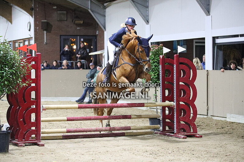 Zilfia's Hoeve Springen Paarden 30-11-2025 70-80 cm