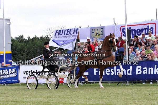 Sander (Fabricius x Harald)