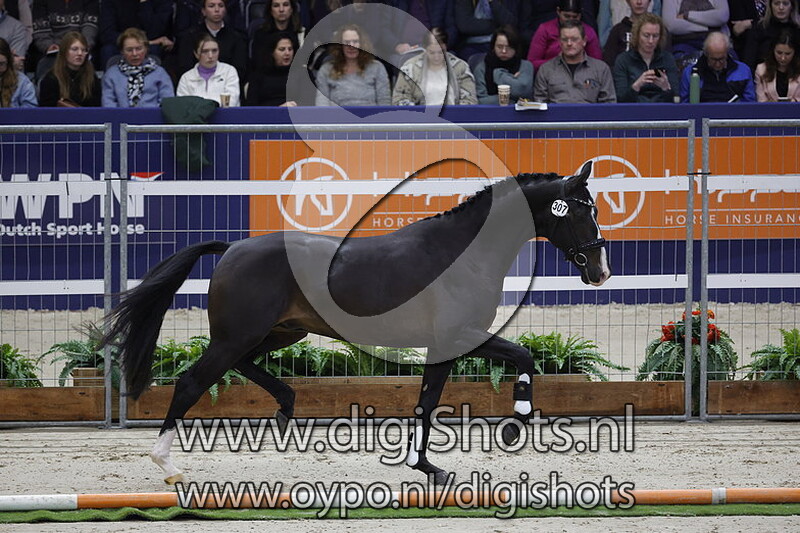 Please Me v. Cum Laude - 307