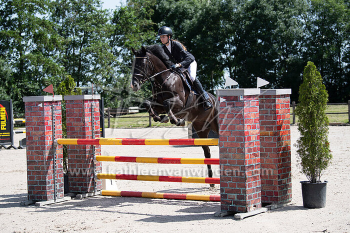 Monique van Dorresteijn