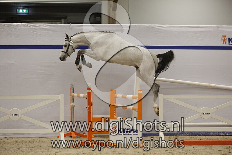 Chacmate v. Chacoon Blue