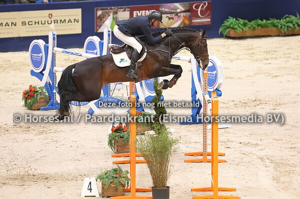 Maximus VDL (v. Zirocco Blue) Marcel de Boer