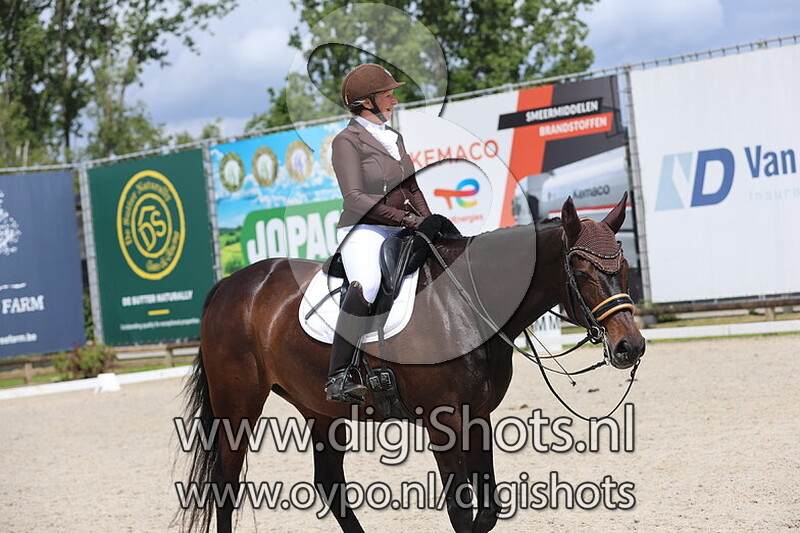 Ginger vd Pompoenhoeve