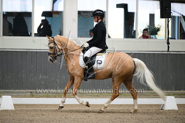 Sarah Ouwehand - Infinity Secret