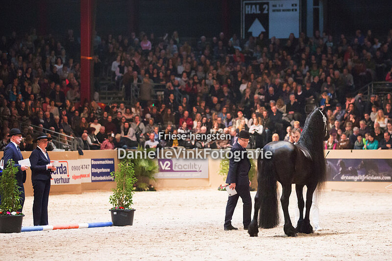 Hengstenkeuring 2018 Reinder 452