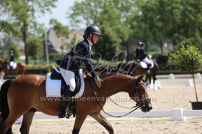 Malu Brands - Chello P