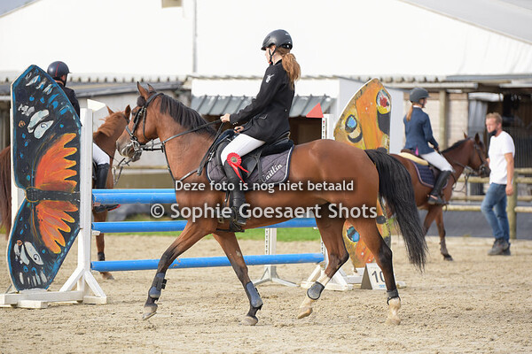 Ponies Hoogte 100 - Prijsuitreiking