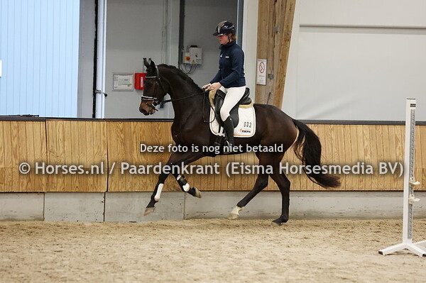 32 Salinora SDB (First Lewis x Elinora v. Sandreo)