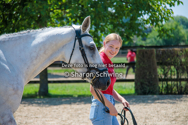 Merries van 6 jaar en ouder